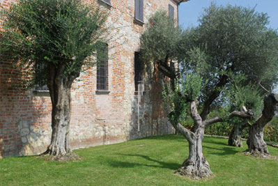 Torre Fornello Garden
