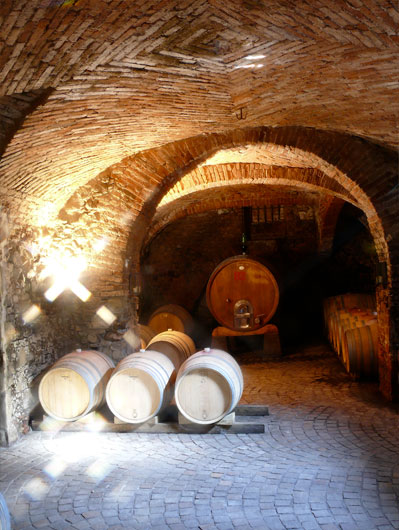 La cantina di Torre Fornello