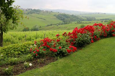 Il Giardino di Torre Fornello