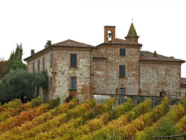 I Vigneti di Torre Fornello