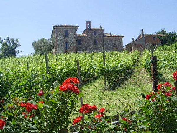 I Vigneti di Torre Fornello