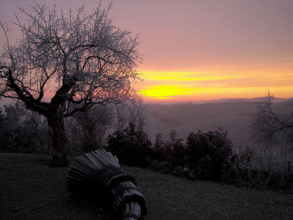 I Vigneti di Torre Fornello