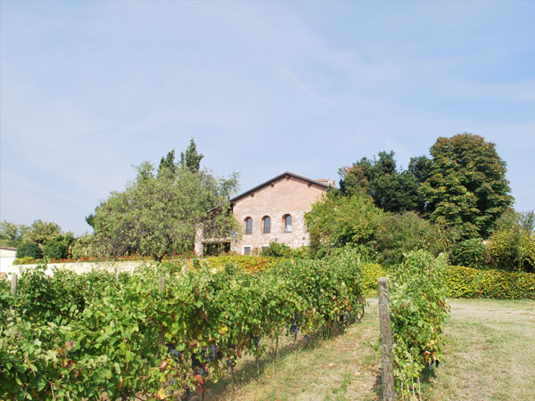 I Vigneti di Torre Fornello