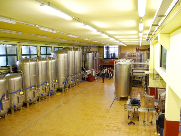 La Cantina di Torre Fornello