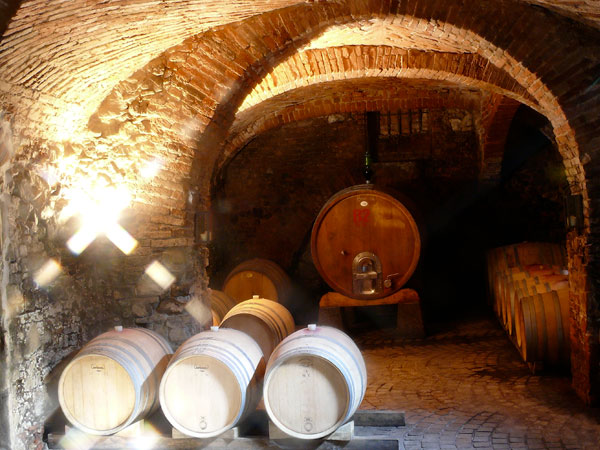 La Cantina di Torre Fornello